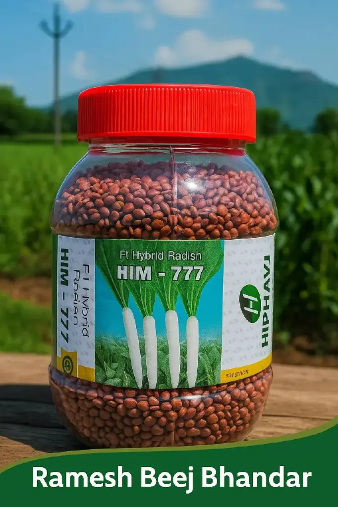 HIM-777 F1 HYBRID RADISH