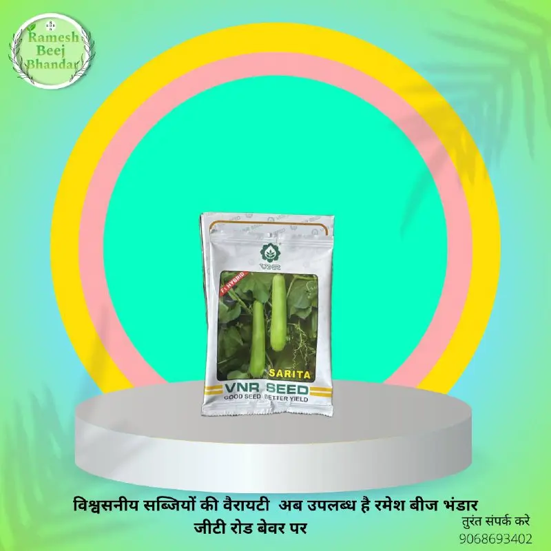 BOTTLE GOURD SARITA