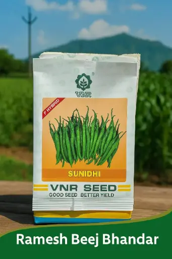 SUNIDHI CHILLI 