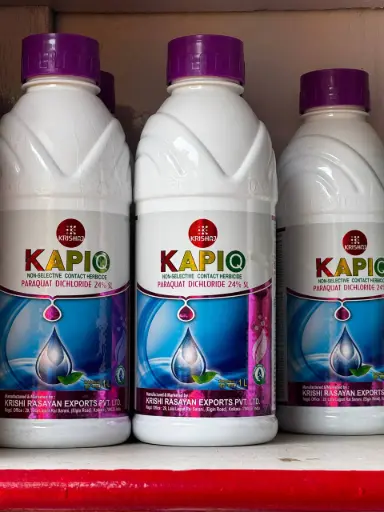 KAPIQ 1LTR