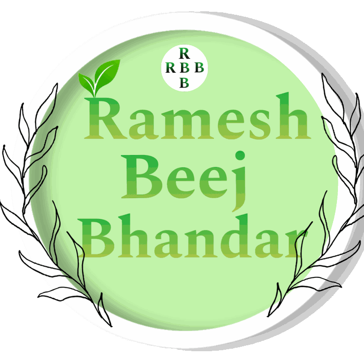 rameshbeejbhandar